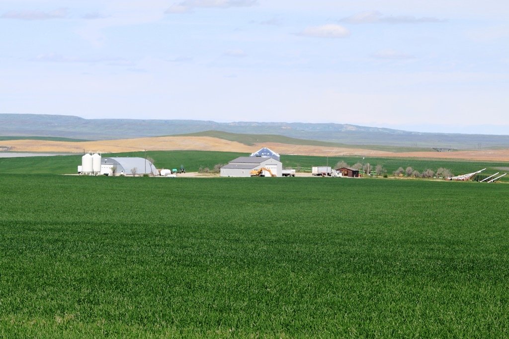 Toluca-Farm