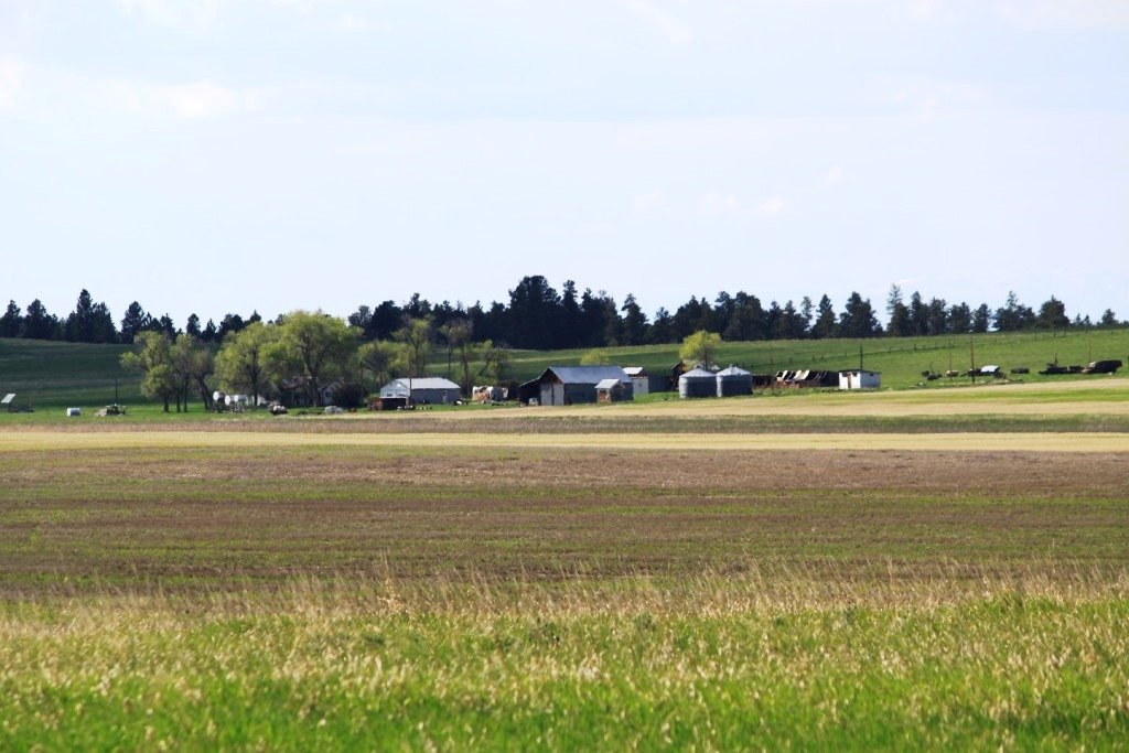 Dean-Creek-Farm