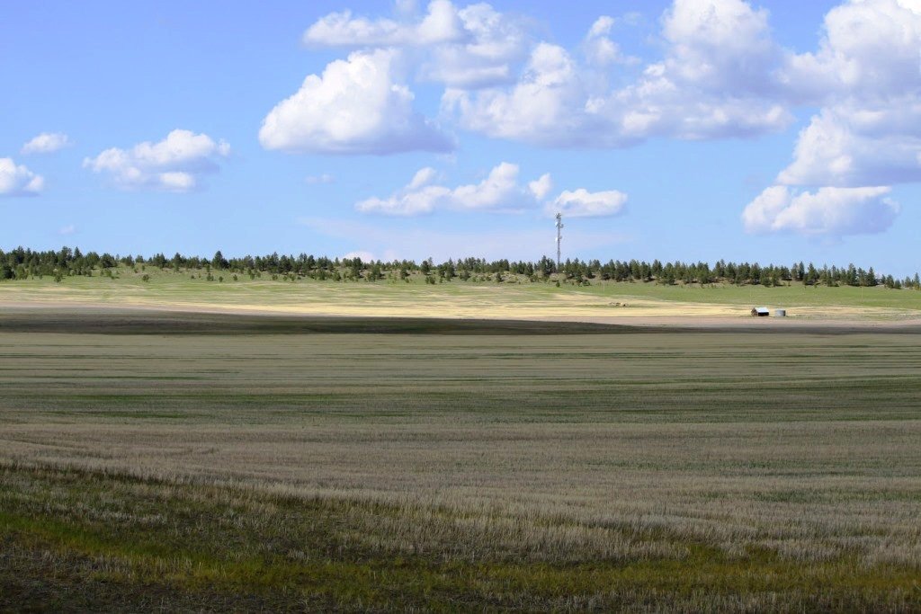 Dean Creek Farm 1,320,000 Lavina, MT Montana Farm and Ranch Brokers