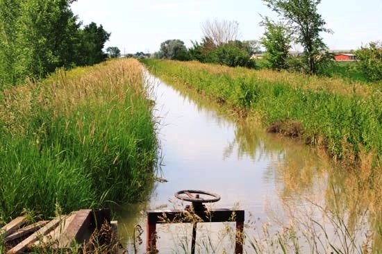 Sidney-Irrigated-Land